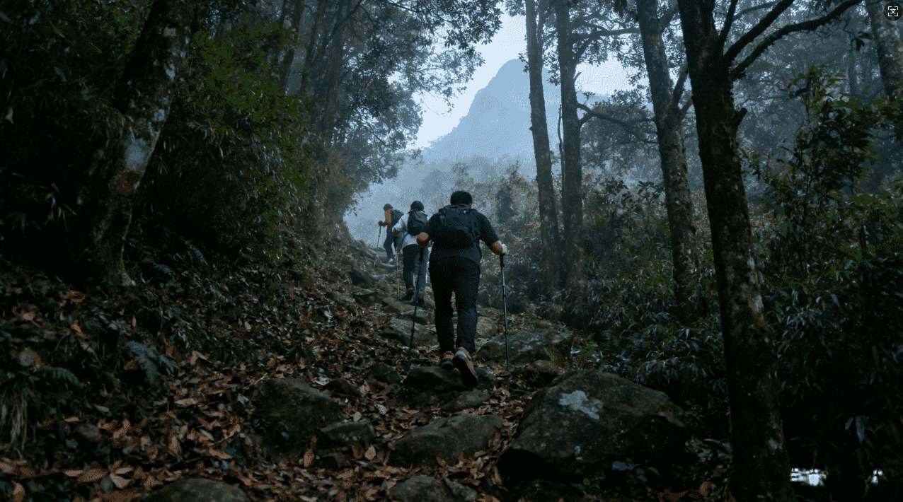 番茄VPN加速器贴吧教程全面解析指南